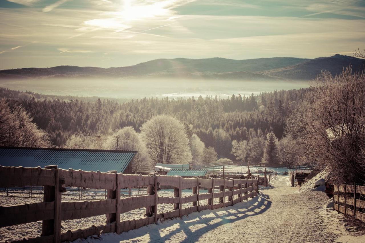 Landhotel Zum Matthiasl Bischofsreut Экстерьер фото